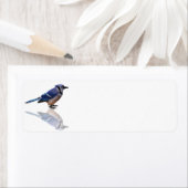 Blaue Reflexionen (Insitu)