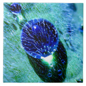 Blaue Regentropfen-Wasser-Perlen, Quadrat Keramik Fliese (Vorderseite)