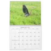 Blaue Reiher-Reihe Kalender (Feb 2027)