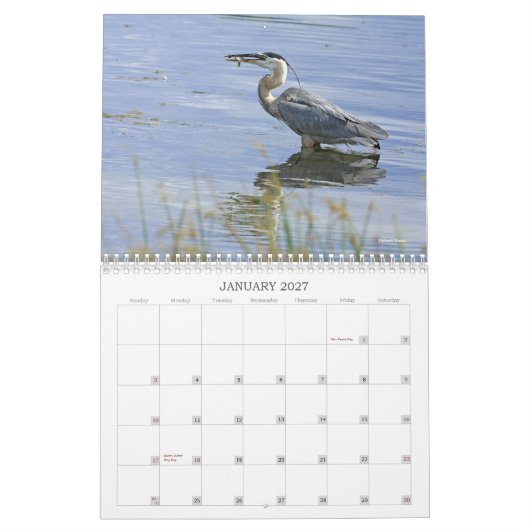 Blaue Reiher-Reihe Kalender (Jan 2027)