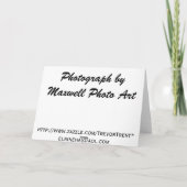 Blaue Ridge-Allee-Shirts, Karten u. Geschenke (Rückseite)