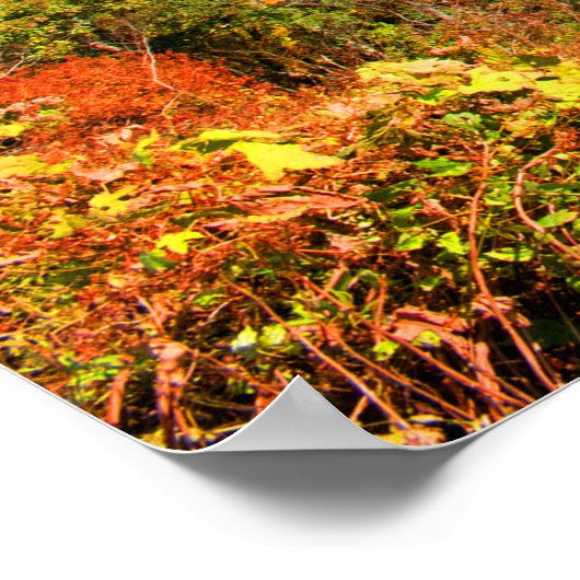 Blaue Ridge im Herbst Poster (Ecke)