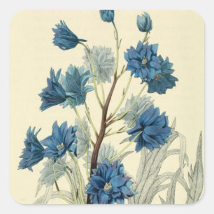 Blaue Rittersporn-Blume im Vintage-Stil Quadratischer Aufkleber
