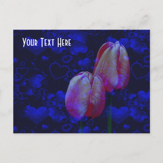 Blaue Röhrenknochen Pink Tulips - individuell eins Postkarte (Vorderseite)
