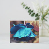 Blaue Rose Blume Personalisiert Postkarte (Stehend Vorderseite)