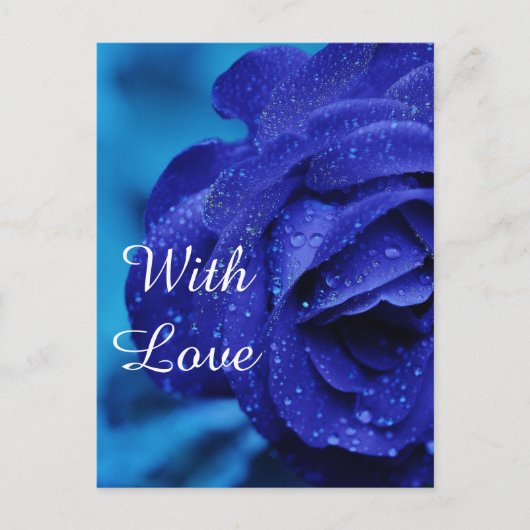 Blaue Rose Blume Postkarte (Vorderseite)