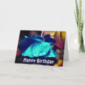 Blaue Rose Blumenfotografie Geburtstagskarte Karte (Vorderseite)