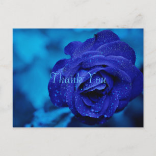 Blaue Rose Danke Postkarte