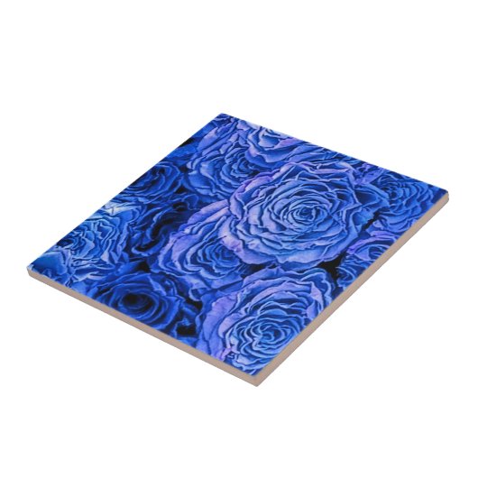 Blaue Rose Fliese (Seite)