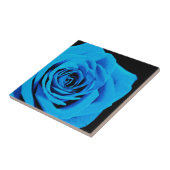 Blaue Rose Fliese (Seite)