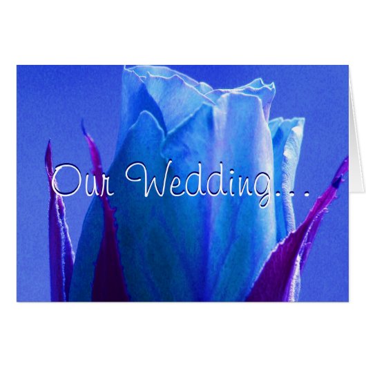 Blaue Rose Freude (Vorderseite (Horizontal))