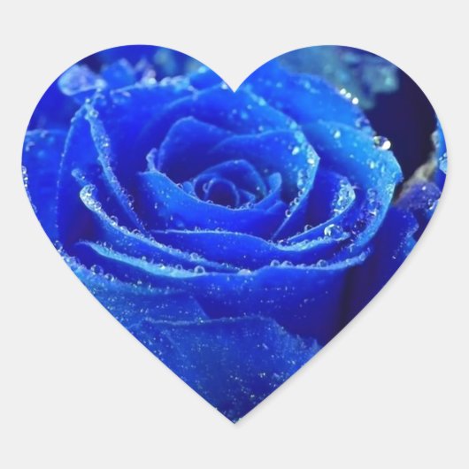 Blaue Rose Herz-Aufkleber (Vorderseite)