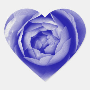 Blaue Rose Herz-Aufkleber