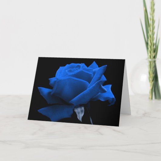 Blaue Rose Karte (Vorderseite)