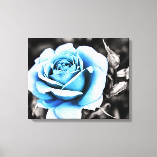 blaue Rose Leinwanddruck (Vorderseite)