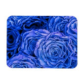 Blaue Rose Magnet (Horizontal)