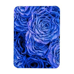Blaue Rose Magnet