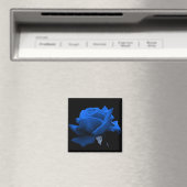 Blaue Rose Magnet (In Situ (Geschirrspüler))