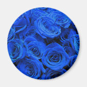 Blaue Rose Magnet (Vorne)