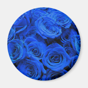 Blaue Rose Magnet