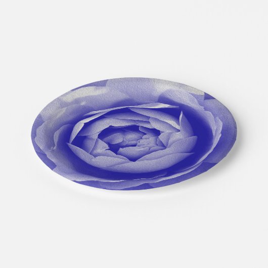 Blaue Rose Pappteller (Schrägansicht)