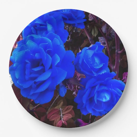 Blaue Rose Pappteller (Vorderseite)