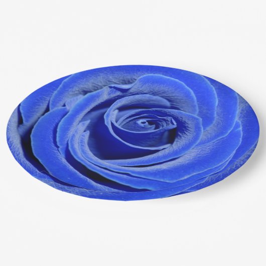 Blaue Rose Pappteller (Schrägansicht)