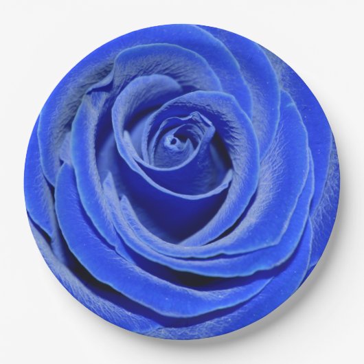 Blaue Rose Pappteller (Vorderseite)