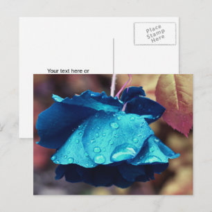 Blaue Rose Personalisiert Postkarte