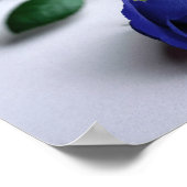 Blaue Rose - Poster (Ecke)