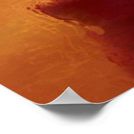 Blaue Rose Poster (Ecke)