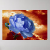 Blaue Rose Poster (Vorne)