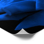 Blaue Rose Poster (Ecke)