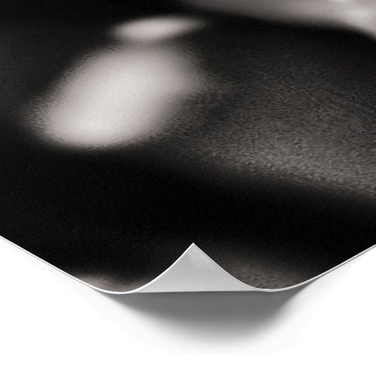 Blaue Rose Poster (Ecke)