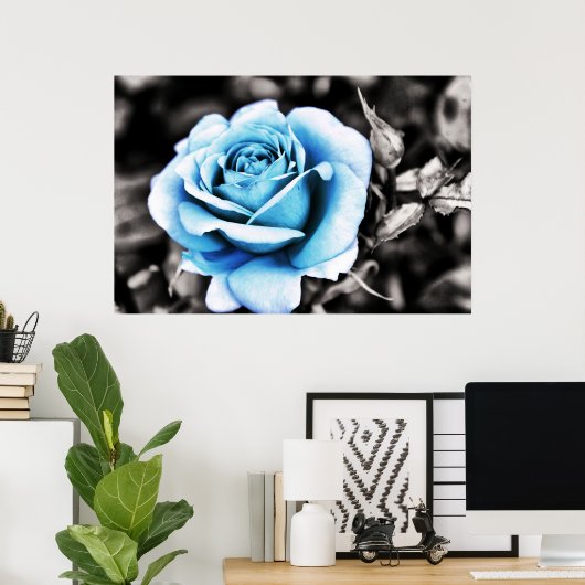 Blaue Rose Poster (Heimbüro)