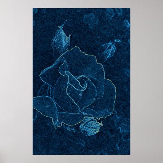 Blaue Rose Poster (Vorne)