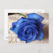 Blaue Rose Postkarte (Vorne/Hinten)