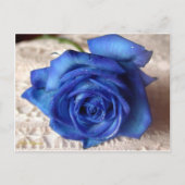 Blaue Rose Postkarte (Vorderseite)