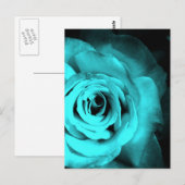 Blaue Rose Postkarte (Vorne/Hinten)