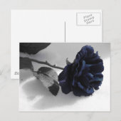 Blaue Rose Postkarte (Vorne/Hinten)