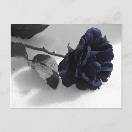 Blaue Rose Postkarte (Vorderseite)