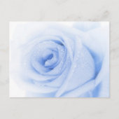 Blaue Rose Postkarte (Vorderseite)