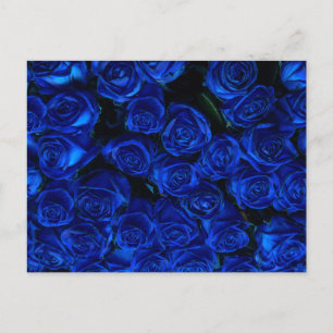 Blaue Rose Postkarte