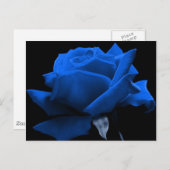 Blaue Rose Postkarte (Vorne/Hinten)