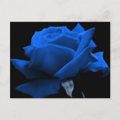 Blaue Rose Postkarte (Vorderseite)