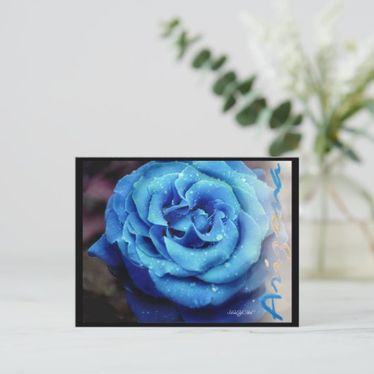 Blaue Rose Postkarte (Stehend Vorderseite)