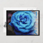 Blaue Rose Postkarte (Vorne/Hinten)