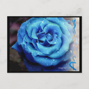 Blaue Rose Postkarte
