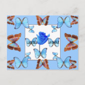 BLAUE ROSE! Postkarte (Vorderseite)