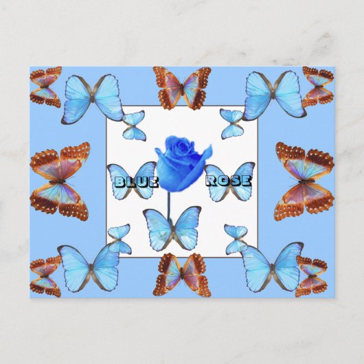BLAUE ROSE! Postkarte (Vorderseite)